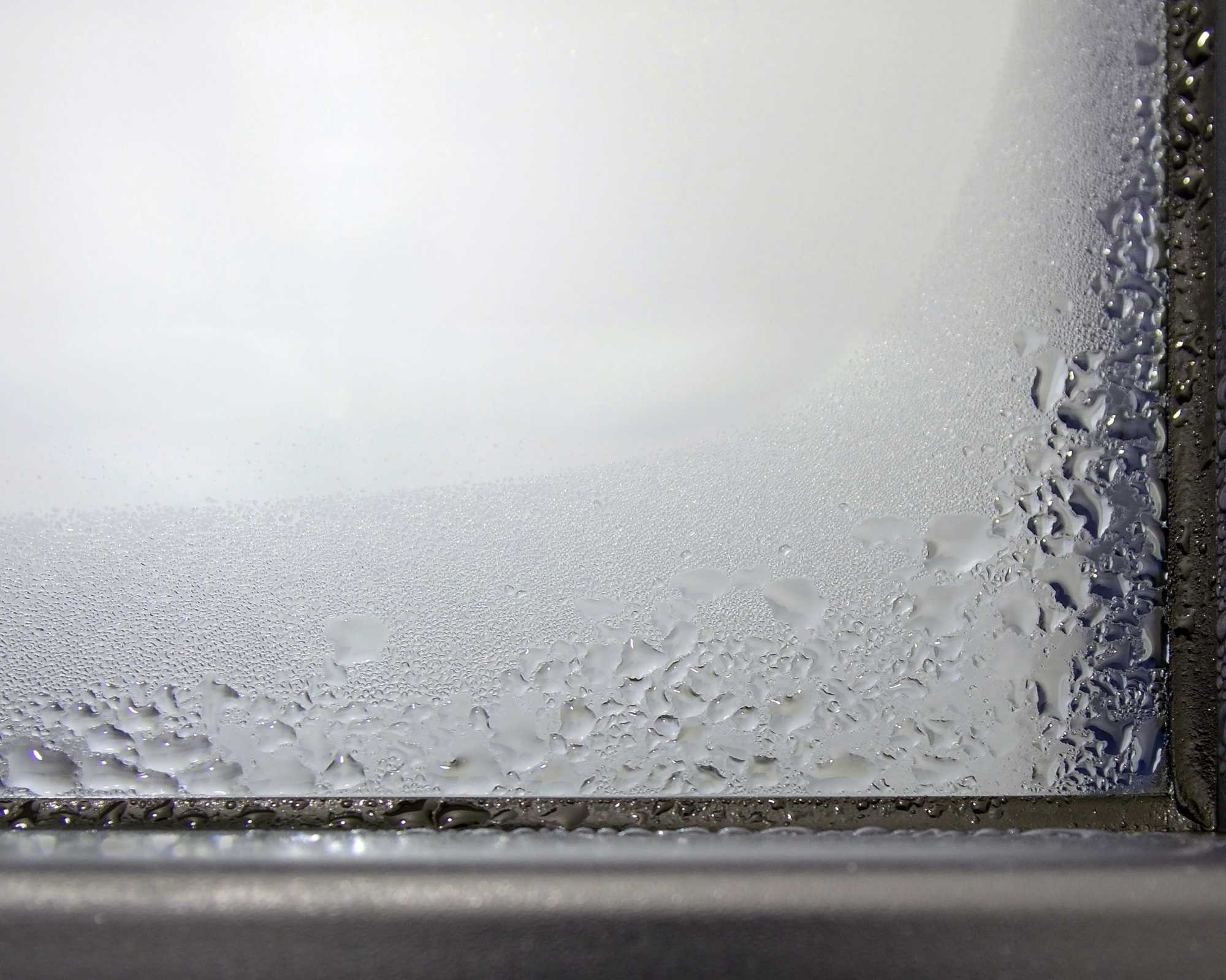 Expertise en humidité Expertise humidité Expert